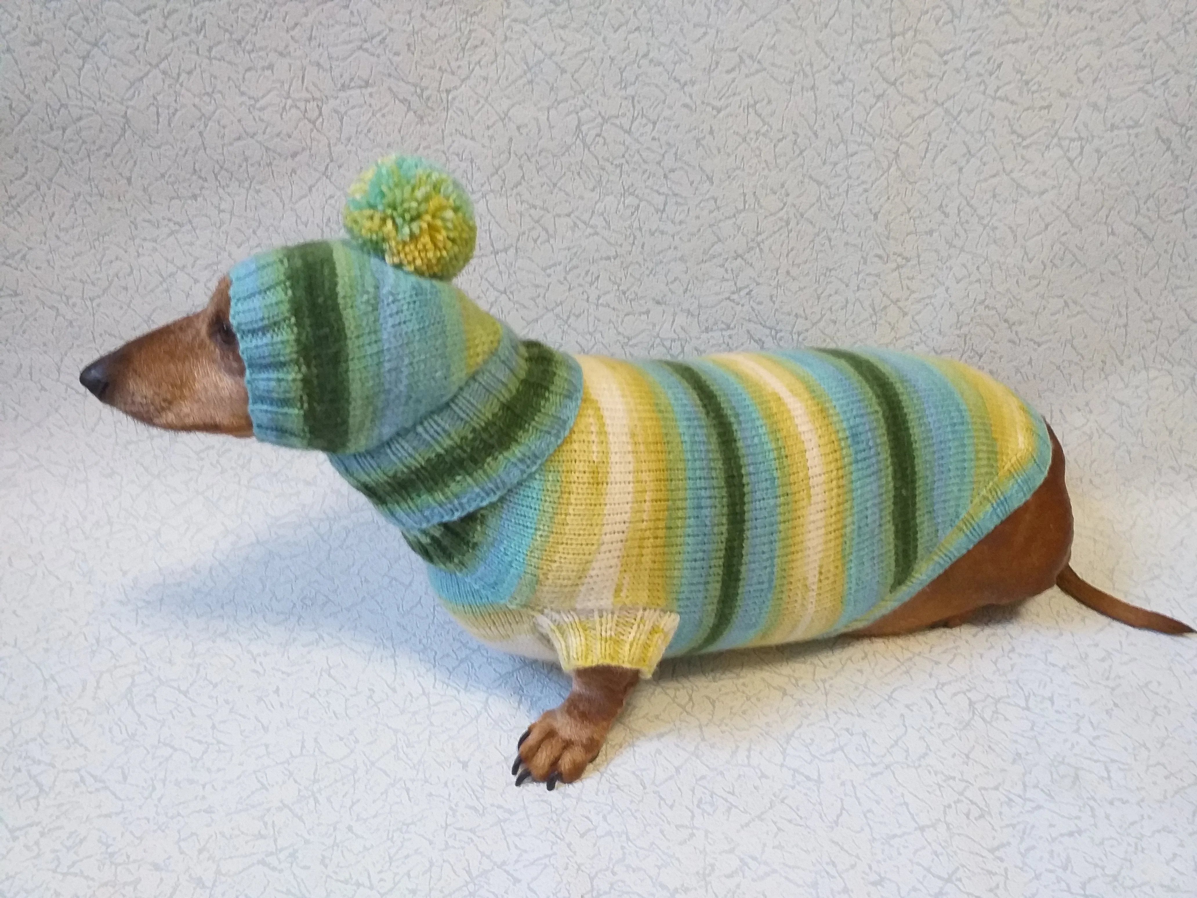 Set sweater and hat for dogs, sweater and hat for dachshunds, clothes for dogs, clothes for dachshunds