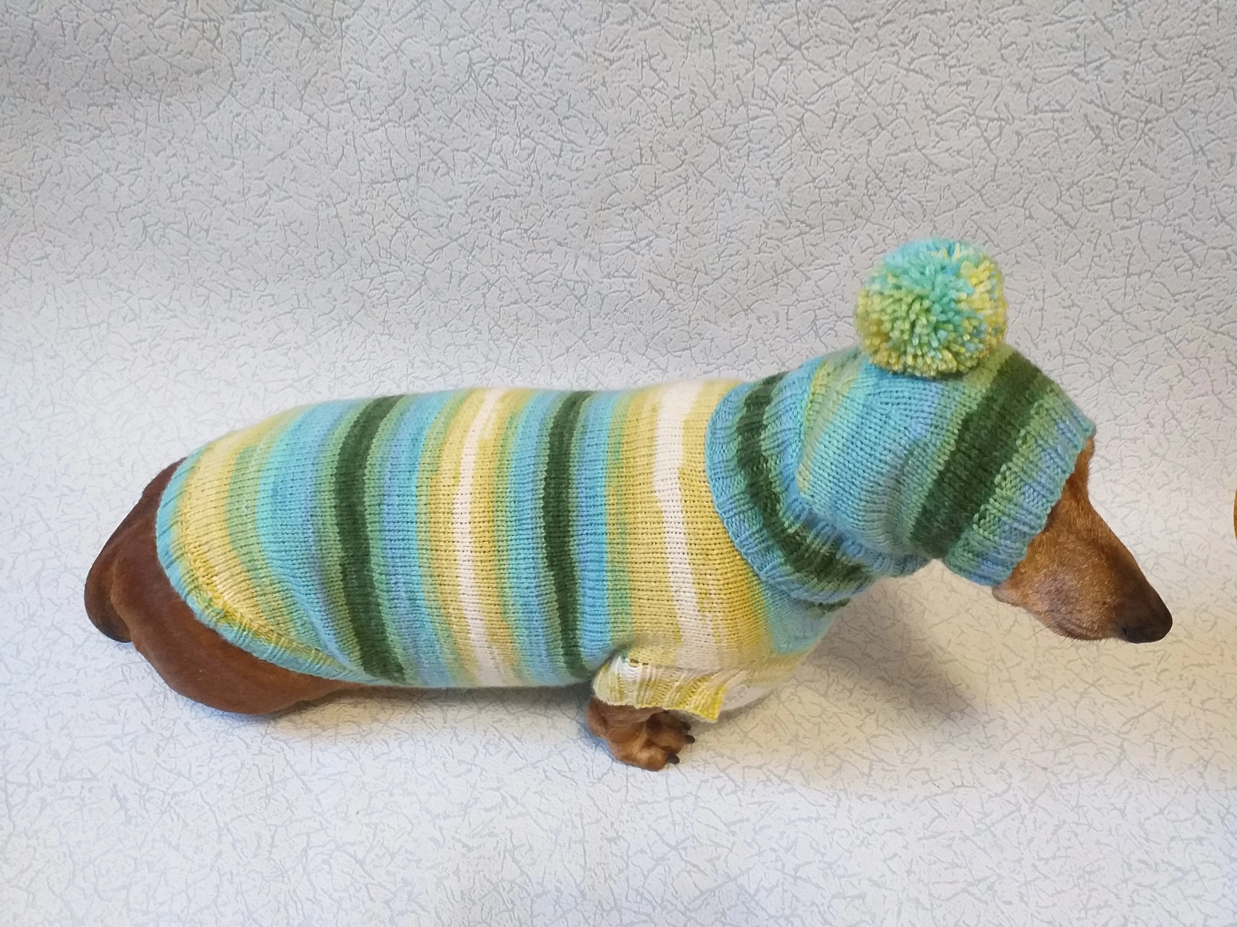 Set sweater and hat for dogs, sweater and hat for dachshunds, clothes for dogs, clothes for dachshunds