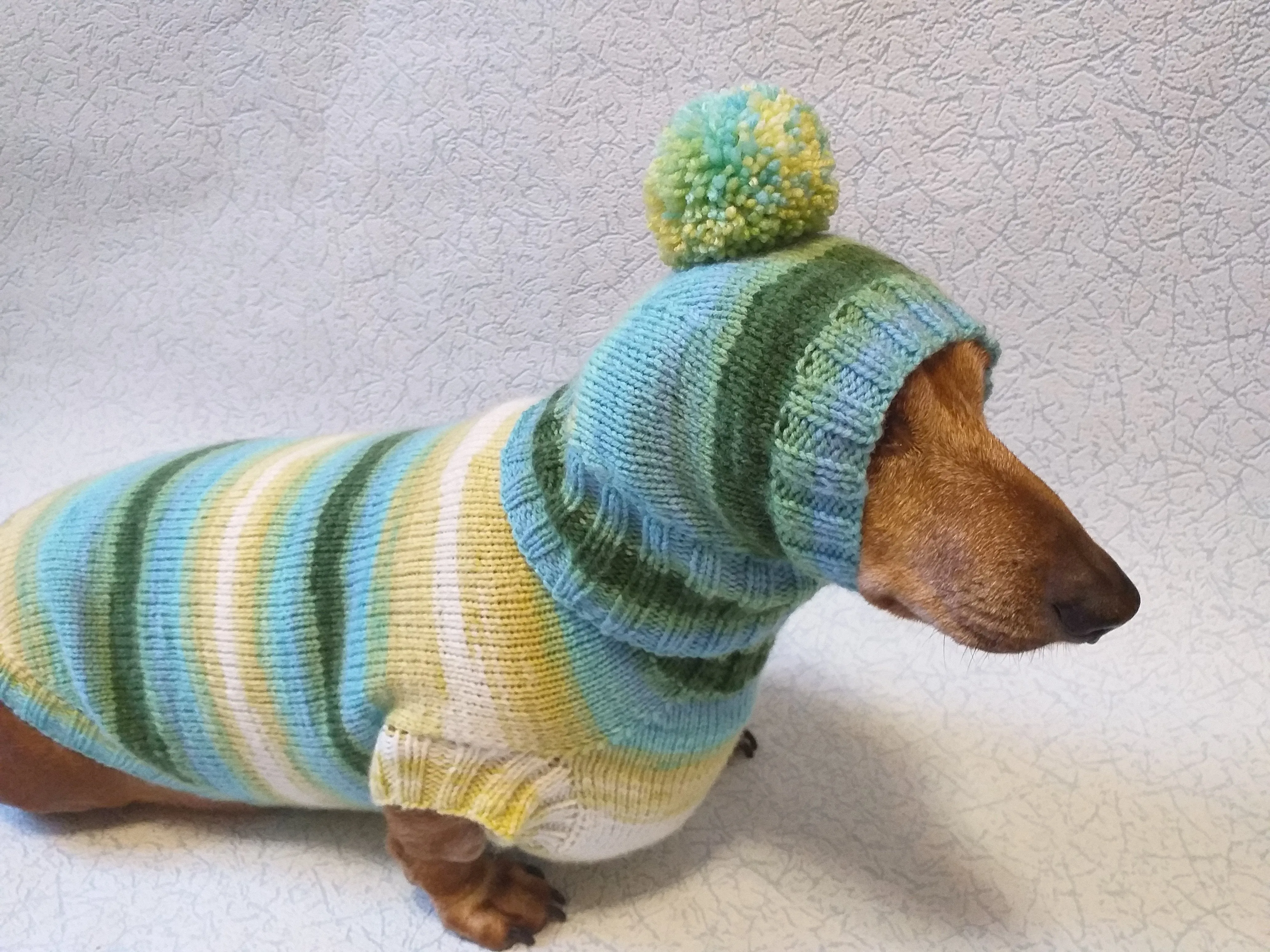 Set sweater and hat for dogs, sweater and hat for dachshunds, clothes for dogs, clothes for dachshunds