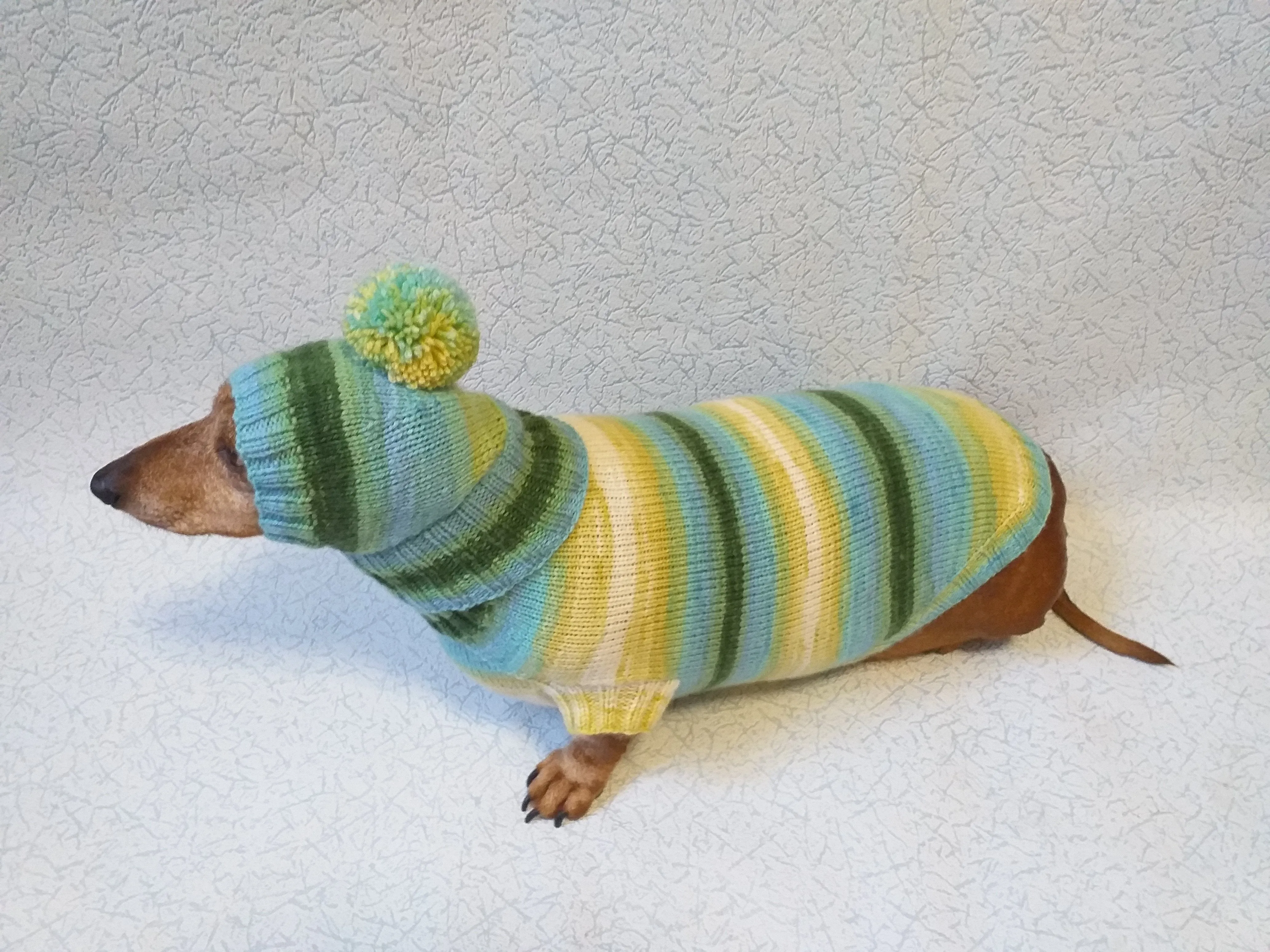 Set sweater and hat for dogs, sweater and hat for dachshunds, clothes for dogs, clothes for dachshunds