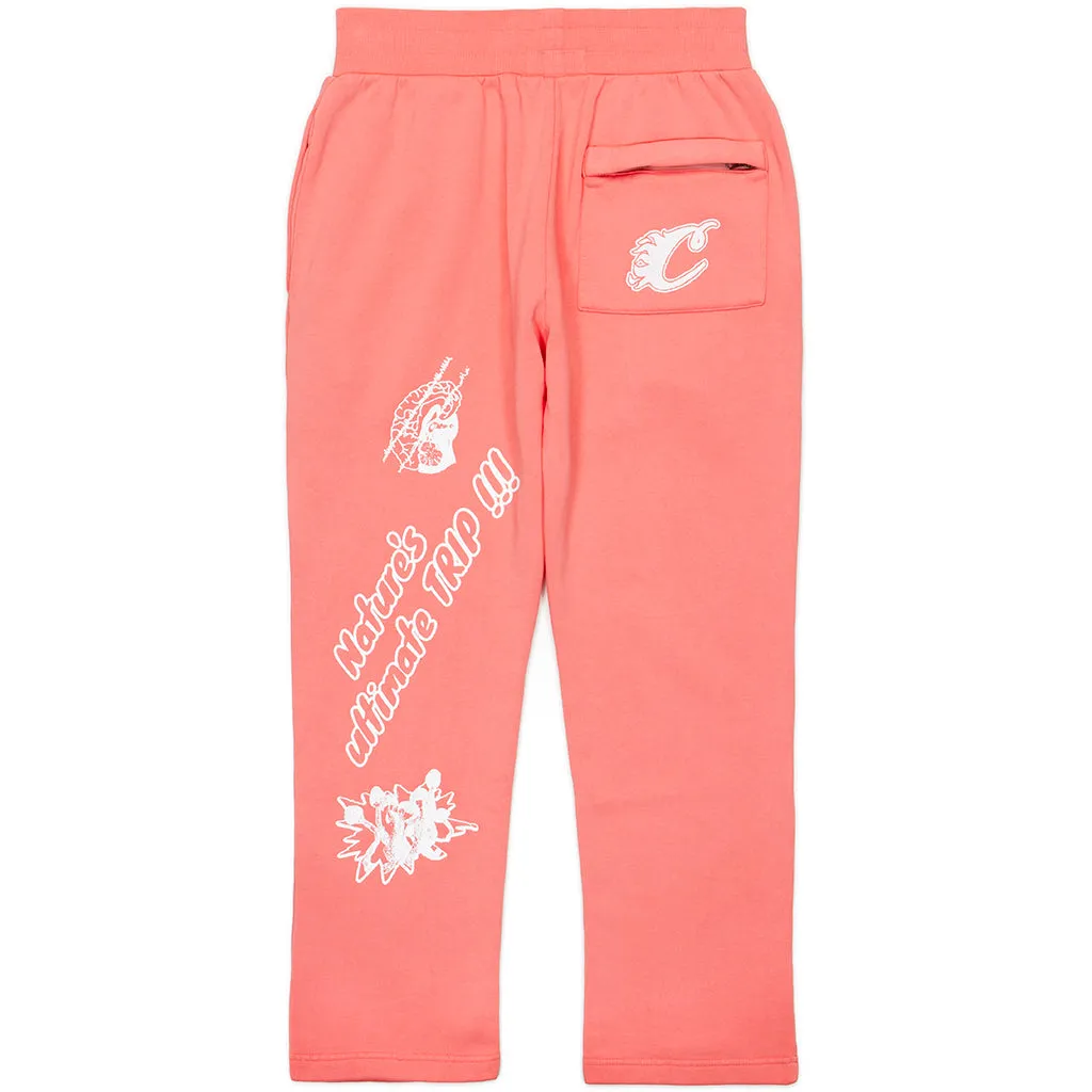 Slow Burn Pigment Sweatpants