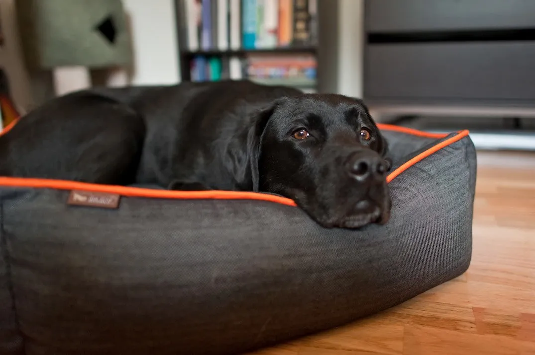 Urban Denim Lounge Bed