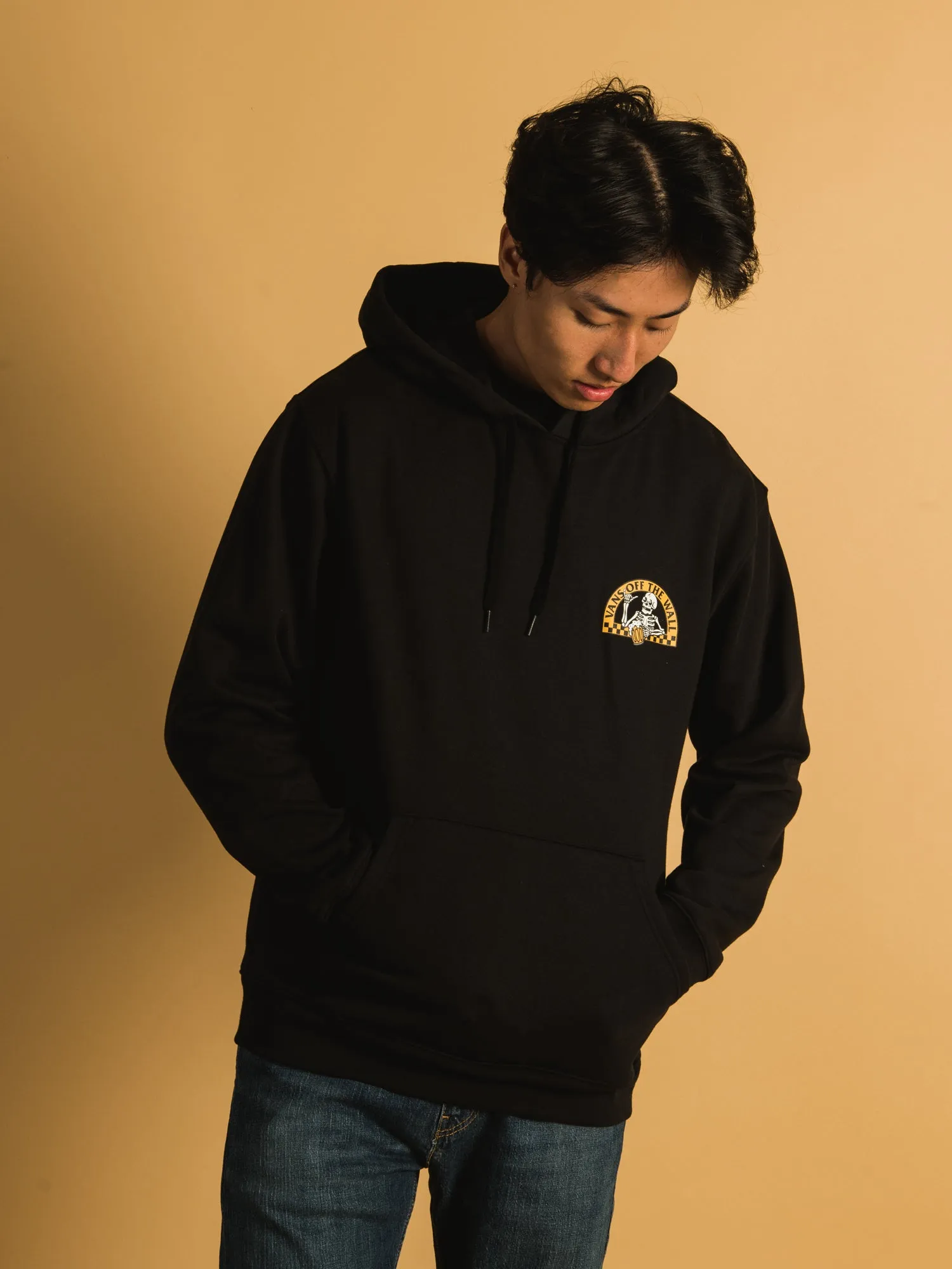 VANS COLD CHILLIN PULLOVER HOODIE - CLEARANCE